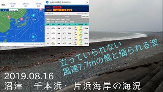 『台風の影響』沼津 千本浜・片浜の海況(2019.08.16)