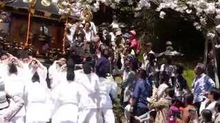 塩釜神社　花祭り　重さ１屯の神輿　表坂２０２段を