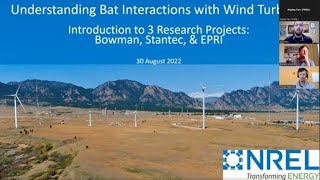 Understanding Bat Interactions with Wind Turbines