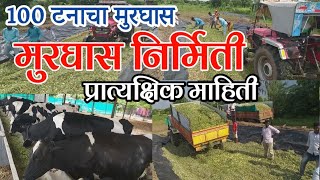 100 टनांचा मुरघास | मुरघास बनवायची प्रात्यक्षिक माहिती | How to Make Silage | Practical information