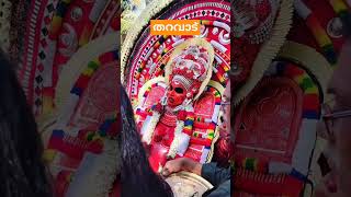 തെയ്യം|Tharavattile theyyam#keralaheritage #traditional #theyyam #kerala #music #song