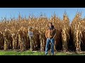 the front row dekalb® corn hybrid dkc39 54rib