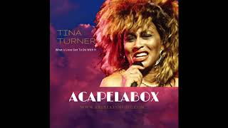TINA TURNER (Remix Reggae) - What's love got to do with it