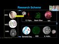 early infantile epilepsy genes pathophysiology merit research webinar 20