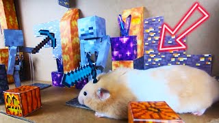 Hamster Escapes Halloween Maze with Minecraft Obstacle Course