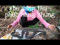 @san bắt ba tri@hanh trình san bắt tập17 . bé sang chinh phục hàng khủng