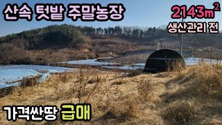 (매물번호13577) 4500만원 영동부동산 2143㎡(648) 영동땅 영동토지매매매물 전원주택지 집터 주말농장 텃밭 싼땅급매 시골땅 촌땅 대전부동산 보은부동산 청주땅 옥천부동산