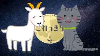 今夜はこれっきり【第三十六夜】