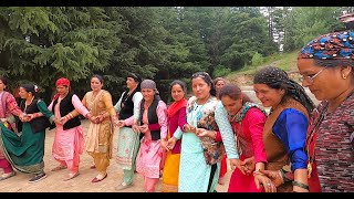 When Himachal women decide to party in the mountains, it is nati time...