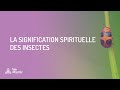 La signification spirituelle des insectes