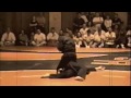 bushidokan martial arts demo matrix style