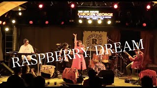 レベッカ　RASPBERRY DREAM  /  Rebecca EYES（レベッカコピー）