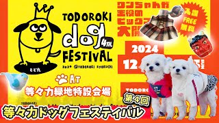 【ドッグフェス】等々力ドッグフェスティバル