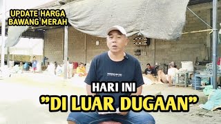 HARI INI DI LUAR DUGAAN | UPDATE HARGA BAWANG MERAH BJM CHANNEL