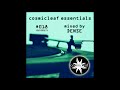 cosmicleaf essentials 018 mixed by dense