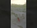 This surfer just surfed the biggest wave ever!?  #shorts