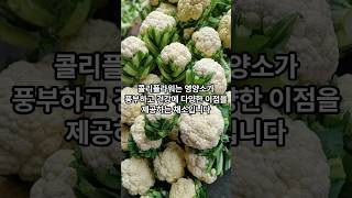 콜리플라워 왜 건강식으로 주목받을까? Cauliflower why is it attracting attention as a healthy food? #건강 #건강정보 #지식 #채소