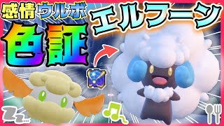 【ポケモンSV】激かわアイドル登場‼色違い証持ち”エルフーン”・”モンメン”をウルトラボールで手に入れたら「ごきげん」でルンルンになった！🎶【藍の円盤】【色違いエルフーン】