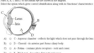 NEET 2013 B 0022333