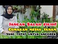 Tips Memilih Media Tanam Untuk Anggrek Agar Tumbuh Subur dan Sehat