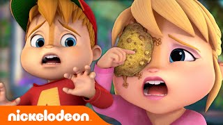 Can Alvin Rescue The Chipmunks From A TOAD Attack?! | ALVINNN!!! | Nickelodeon Cartoon Universe