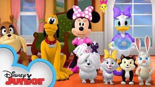 The Happy Helpers Pet Sit 🐠| Mickey Mornings | Mickey Mouse Mixed-Up Adventures | @disneyjunior
