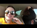we went on a roadtrip to see cody ko and noel miller