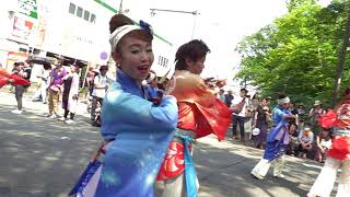 妃龍〔彩夏祭2019　２日目　公園通り北演舞場①（１本目）20190804〕