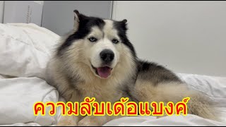 พากุไปวัดหานวลคุ้มวัดแหน่แบงค์