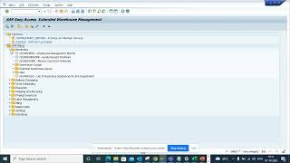 SAP Tutorials: How to get all the Tcode of SAP EWM? /SCWM/MENU