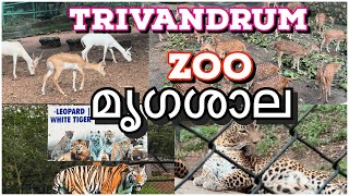 തരുവനന്തപുരം മൃഗശാല ' പുലി സിംഹം 🔥| Trivandrum ZOO @zentravelerbyanzar