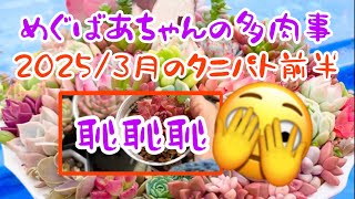 🪴No376🪴多肉植物🪴2025/3月のタニパト前半🪴めぐばあちゃんの多肉事👵🏻