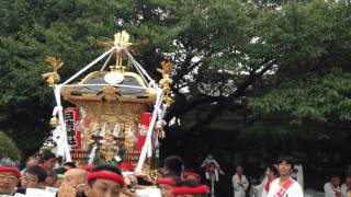 平成28年 茅ヶ崎市 西久保 日吉神社 例大祭 神輿渡御⑤