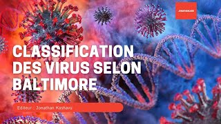 LA CLASSIFICATION DES VIRUS SELON BALTIMORE