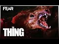 The Thing Dog Transformation Scene | The Thing (1982) | Fear