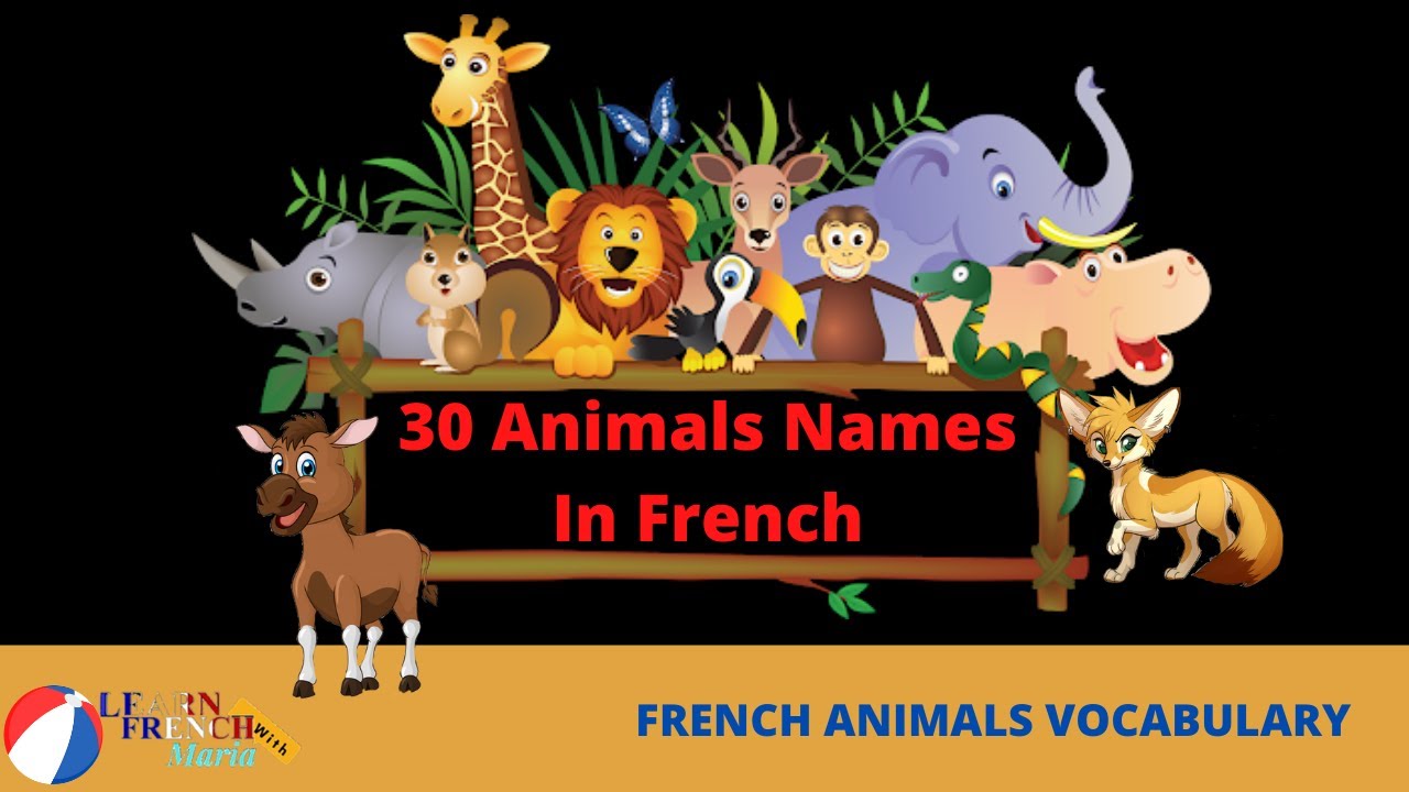 30 Animals Name In French | French Vocabulary (French Fundamental ...