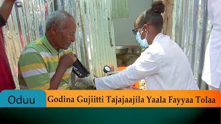 Godina Gujiitti Tajajaajila Yaala Fayyaa Tolaa