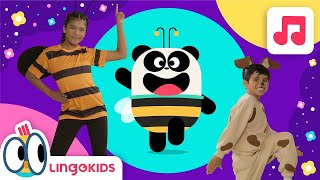 BEES BUZZ CHANT 🐝 🍯  DANCE FOR KIDS! | Let’s Dance with Lingokids