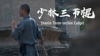 Shaolin soft weapon: Three-section cudgel | 少林三节棍：身动心净，洞达禅理