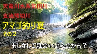 気田川支流熊切川アマゴ釣り夏その２