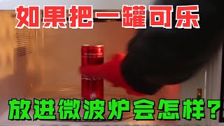 如果把一罐可乐放进微波炉会发生什么？你知道吗？