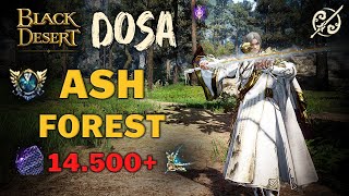 BDO | Succession Dosa | Ash Forest Dehkia PvE Combo \u0026 Addons | Lv.2 Scroll No Agris 14.500+ H