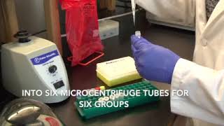 GS DNA Fingerprinting Kit I for High School