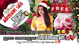 എവിവടേം കിട്ടാത്ത christmas ഓഫർ ആയി plantgoon🎅❤️10 combo വാങ്ങിക്കുമ്പോൾ free adenium കിട്ടിയാലോ 💌🎄