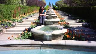 Tulip Festival, Utah , USA,زياد رحباني مع مناظر ساحره من يوتا