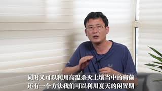 辣椒4大种植误区，你犯了几个？农户这样种植更高产 【付老师种植技术团队】