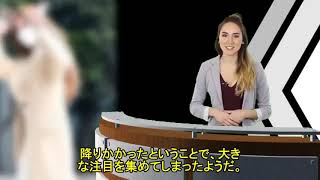 BoA聴取報道に「韓流の先駆けが...」と驚きの声　日本から許可なく向精神薬持ち込みか