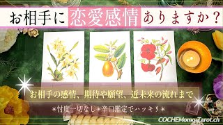 【🌹恋心も下心も丸見え⚡️】お相手に恋愛感情ありますか？【辛口✴︎覚悟】本格リーディング、忖度一切なし