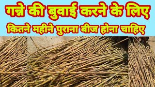 गन्ने बुवाई करने के|गन्ना बीज कितने महीने पुराना होना ले|sugarcane how many months old seed to take.