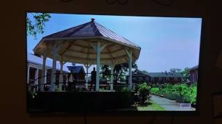 Walking Dead Dont Think Twice Its Alright